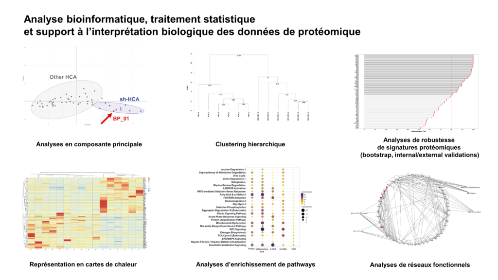 bioinfo-biostat-1024x576
